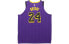 Фото #2 товара Майка баскетбольная Nike NBA Jersey Kobe Bryant Лейкерс 24 номер 18-19 сезон городское ограничение AU игрок версия фиолетовая 164- какется-даас Nike NBA AV3696-505