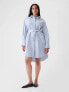 Organic Cotton Oxford Mini Shirtdress