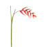 Фото #1 товара Искусственные цветы SIA Геликония Pendula