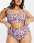 ASOS DESIGN Curve high waist bikini bottom in jungle print