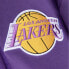 Фото #3 товара Худи Mitchell&Ness Los Angeles Champ City Pullover для мужчин размера S