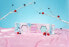 Фото #2 товара Пена для ванны Bubble T Cosmetics Набор "Искрящиеся зимние ягоды"