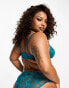 ASOS DESIGN Curve Cate lace brazilian brief in teal