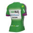 Фото #2 товара ALE Green Project-Bardiani CSF-Faizane PRO 2023 short sleeve jersey
