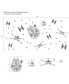Фото #2 товара Star Wars Squadron X-Wing/Tie Fighter/Millennium Falcon Wall Decals
