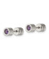 Stainless Steel Polished Purple CZ February Earrings