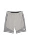 Фото #18 товара Evostripe Shorts 8 Erkek Şort