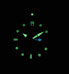 Фото #9 товара Наручные часы Citizen Mens PROMASTER Diver Solar BN4021-02E