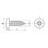 Фото #2 товара EUROMARINE A4 DIN 7981 5.5x50 mm Sheet Screw