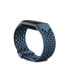 Charge 5 Deep Sea Silicone Sport Band, Small