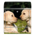 Фото #4 товара Briefkasten Stahl Labrador