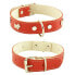 ფოტო #2 პროდუქტის YOUPET Mountain Westy 60x3 cm Dog Collar