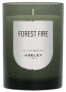 Forest Fire