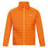 Фото #6 товара REGATTA Hydrate VIII 3 In 1 jacket