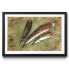 Фото #1 товара Gerahmtes Bild Feather of Pheasant