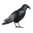 Фото #1 товара Репеллент EDM птицы полипропилен 36 x 13 x 18 cm