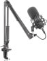 Микрофон GENESIS Radium 400 (NGM-1377)