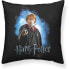 Фото #2 товара PLAY FABRICS Ron Weasley Cushion Cover At 50x50 cm Harry Potter