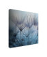 Фото #2 товара Mathieu Irthum Teardrop Dandelion Canvas Art - 15" x 20"