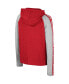 ფოტო #3 პროდუქტის Big Boys Red Wisconsin Badgers Ned Raglan Long Sleeve Hooded T-shirt