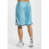 Фото #4 товара Karl Kani Woven Signature Paisley Mesh Shorts M 6013404