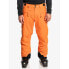 Фото #1 товара QUIKSILVER Boundry Pants