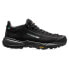 ფოტო #2 პროდუქტის ZAMBERLAN 217 Free Blast Goretex Hiking Shoes