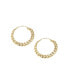ფოტო #1 პროდუქტის Women's Gold Chain Hoop Earrings