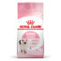 ROYAL Feline Kitten 2kg Cat Food