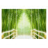 Фото #1 товара Schiebegardinen Bamboo Way (6er-Set)