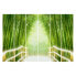 Schiebegardinen Bamboo Way (6er-Set)