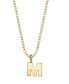 Фото #13 товара 2028 gold-Tone Initial Necklace 20"