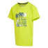 REGATTA Bosley VII short sleeve T-shirt