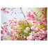 Фото #1 товара Leinwandbild Cherry Blossoms