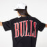 Фото #6 товара NEW ERA NBA Arch Wordmark OS Chicago Bulls short sleeve T-shirt