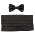 ფოტო #4 პროდუქტის BOSS 50480282 Bow Tie