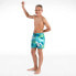 Фото #1 товара SPEEDO Printed 13´´ Swimming Shorts