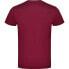ფოტო #2 პროდუქტის KRUSKIS Whale short sleeve T-shirt