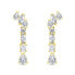 Luxury gold-plated earrings with zircons EA998Y