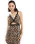 Фото #2 товара Never Fully Dressed Mimi lace cut-out midaxi dress in leopard print