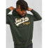 JACK & JONES Logo 2 Col Plus Size hoodie