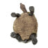 Фото #4 товара sAFARI LTD Desert Tortoise Figure