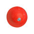 Фото #1 товара SPORTI FRANCE Diam 19 cm - 400g Ball