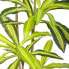 Фото #3 товара Искусственное декоративное растение BB Home Полиуретан Цемент 180 см