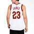 Фото #5 товара Баскетбольная жилетка Nike NBA SW 23 Мужская Кавалерс Белый