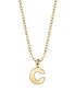 Фото #4 товара 2028 gold-Tone Initial Necklace 20"