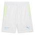 Фото #2 товара PUMA Individual shorts