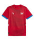 ფოტო #2 პროდუქტის Men's Red Serbia National Team 2024 Home Replica Jersey