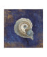 Фото #1 товара Danhui Nai Treasures from the Sea Indigo III Canvas Art - 15.5" x 21"