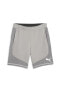 Фото #3 товара Evostripe Shorts 8 Erkek Şort